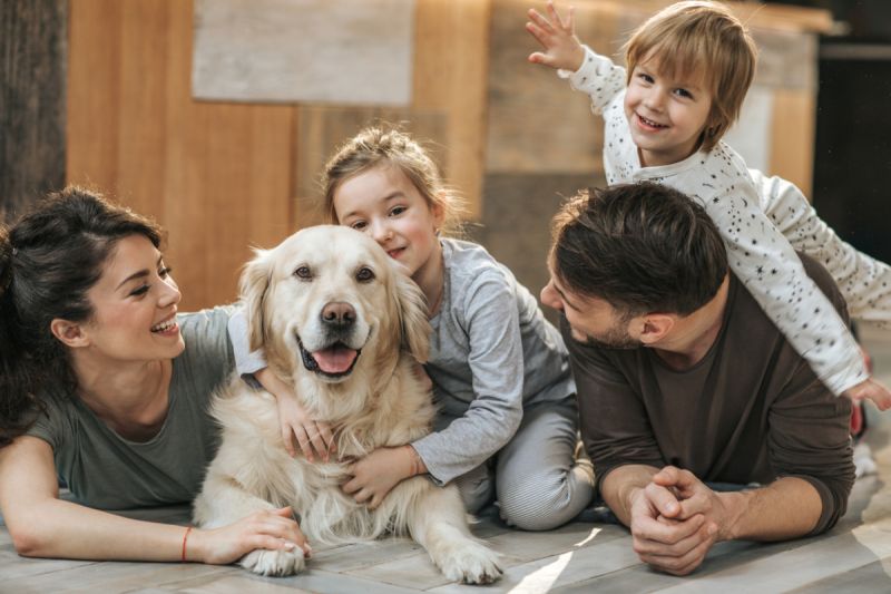 Keluarga dan anjing