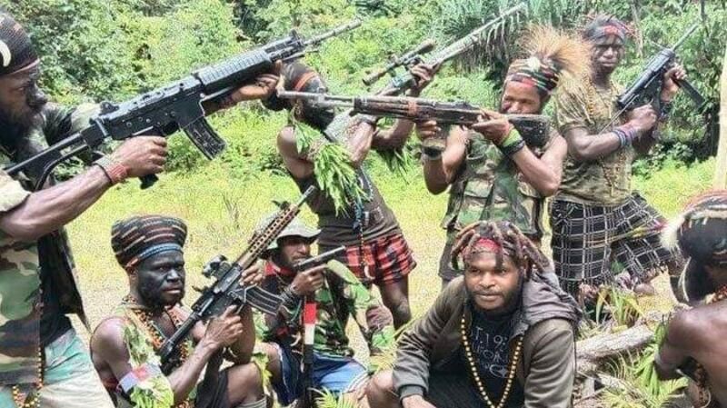 BEM UI Mengecam Dugaan Pelanggaran HAM oleh Anggota TNI di Papua
