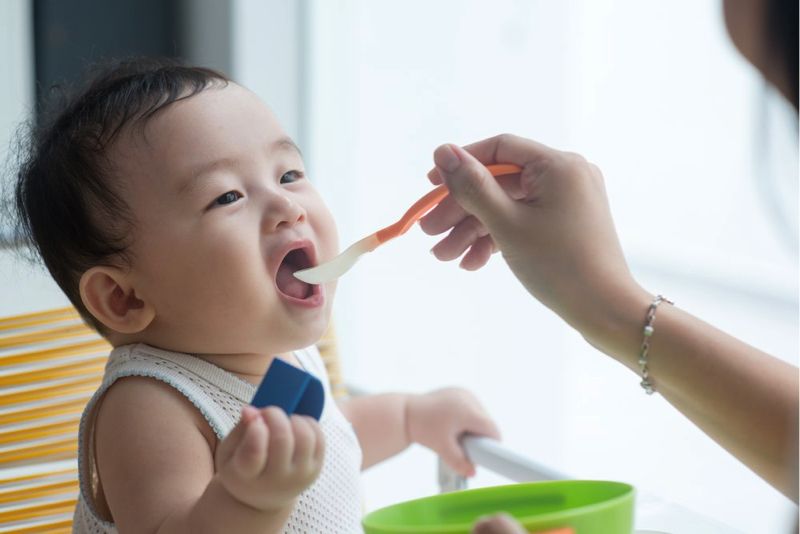 Makanan Bayi - Pilihan Makanan Sehat dan Bergizi untuk Si Kecil