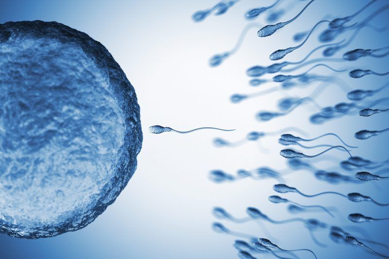 Buah Kedelai, Alpukat, Biji Labu, Telur, dan Pisang: Rahasia Kesehatan Pria untuk Meningkatkan Jumlah Sperma