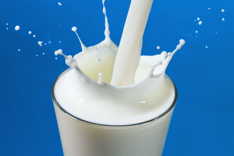Manfaat dengan Minum Susu Setiap Hari Bagi Tubuh