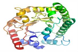 Cacat Protein Sebabkan Cacat Intelektual