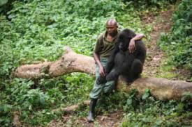 Ranger Tewas, Turis Diculik di Taman Nasional Virunga