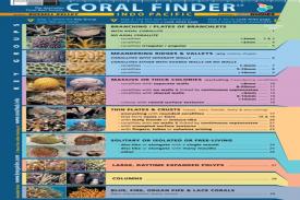 Mengenal Karang dengan Teknologi Coral Finder