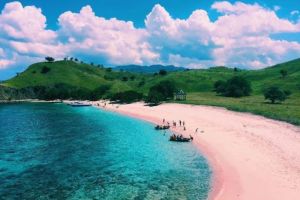 Pesona Alam Pantai Pink di Pulau Komodo