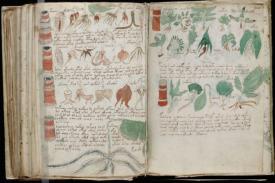Naskah Voynich yang Misterius, Mungkinkah Sebuah Manual Kesehatan?