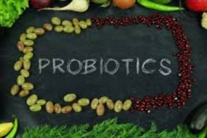 Peran Probiotik