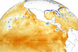 El Nino Menjelang Berakhir, Berdampak pada Kondisi Iklim Indonesia