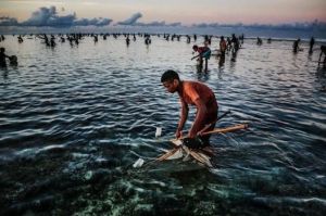 Suku Sasak di Lombok: Tradisi, Rumah Adat, dan Festival Bau Nyale