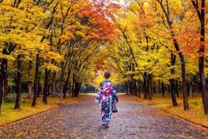 Menyelami Sederhana dan Elegannya Wabi-Sabi: Filosofi Hidup Jepang yang Menghargai Ketidaksempurnaan