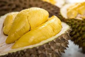 Durian Manis dan Legit Cocok untuk Pecinta Kuliner
