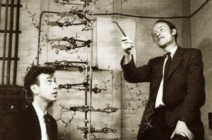 James And Crick