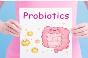 Peran Probiotik dalam Meningkatkan Kesehatan Pencernaan