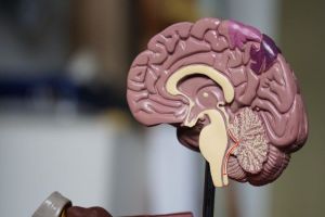 Kerusakan Implan Otak Neuralink: Tantangan dan Dampak Potensial