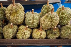 Tips Membedakan Durian Matang Dan Mentah