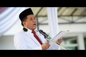 PKS Mendukung Sohibul Iman Sebagai Cagub Jakarta, Tanggapan Airlangga