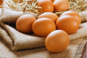 Membedah Perbedaan Telur Omega dan Telur Biasa: Bisakah Dilihat dengan Mata Telanjang?