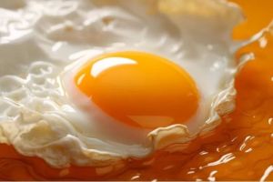 Manfaat Kuning Telur: Kandungan Gizi dan Manfaat Kesehatan yang Luar Biasa