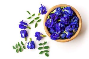 Manfaat Bunga Telang untuk Kesehatan Tubuh