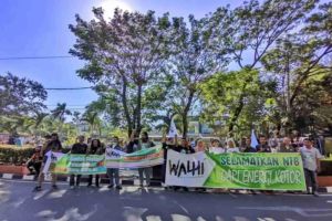 Menghadapi Tantangan Global: Peran Penting Aktivis dalam Isu Lingkungan