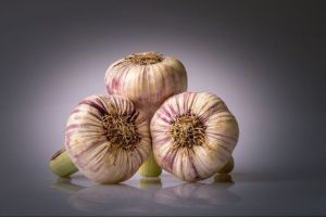 Golden Garlic untuk Kolesterol, Ampuhkah?