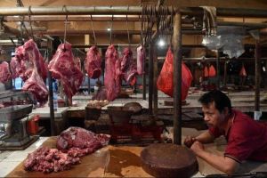 Alasan RI Sulit Swasembada Daging & Masih Tergantung Impor