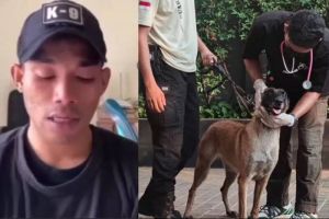 Tangis Nasarius Security K-9 Plaza Indonesia yang Pukul Anjing, Ternyata Hendak Lindungi Anak Kucing
