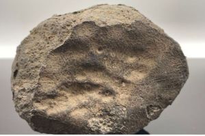 Meteorit Allende