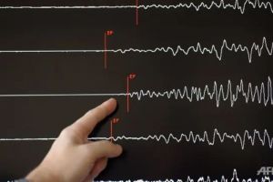 Gempa Magnitudo 6,0 Guncang Tanimbar Maluku Tak Berpotensi Tsunami