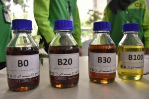 Kenaikan Harga Indeks Biodiesel ke Rp12.161 per Liter Mulai Juli