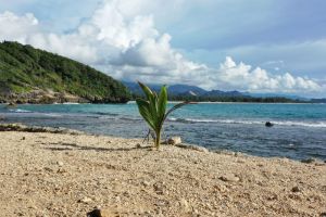 Pantai Lhoknga: Surga Selancar di Aceh