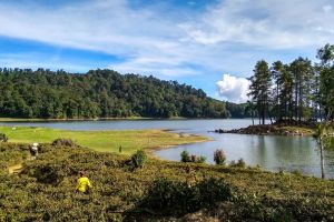 Menikmati Ketenangan di Danau Situ Patenggang: Keindahan Alam yang Memanjakan Jiwa