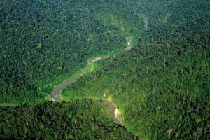 Taman Nasional Gunung Leuser: Hutan Hujan Tropis yang Memesona