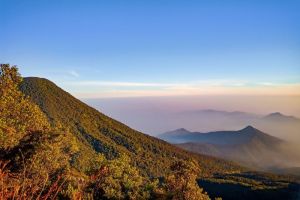 Menjelajahi Pesona Cagar Alam Gunung Gede Pangrango: Petualangan Alam yang Mengagumkan