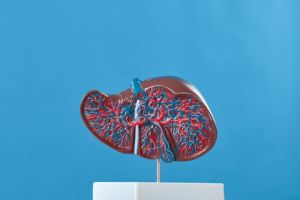 Berbagai Cara Menyembuhkan Liver yang Efektif dan Aman