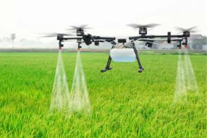 Inovasi Pertanian: Teknologi Baru yang Mengubah Cara Bertani di Seluruh Dunia