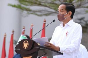 Kebijakan Lingkungan Jokowi: Upaya dalam Melestarikan Alam Indonesia