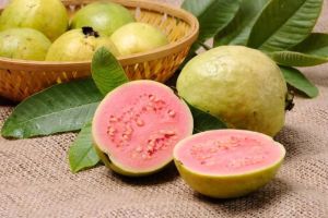 Cara Menggunakan Daun Jambu Biji sebagai Obat Diare Alami