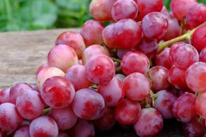Manfaat Buah Anggur untuk Kesehatan
