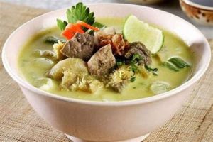 Soto Bogor