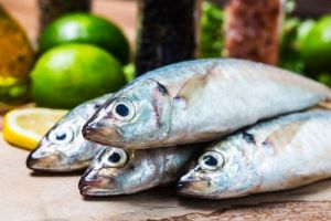 Kenali Bagian Ikan yang Tidak Boleh Dimakan untuk Kesehatan