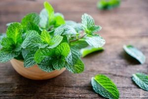 Obat Herbal untuk Mengatasi Migrain: Daun Mint