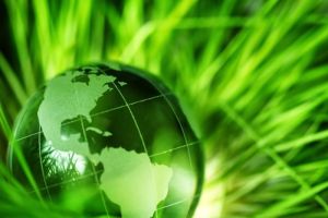 Kesadaran Lingkungan: Inisiatif Hijau dari Negara-Negara Terdepan