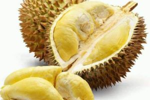 Manfaat Durian untuk Kesehatan Janin