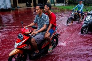 Kejadian Langka: Momen Unik yang Membuat Seluruh Indonesia Terkejut