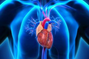 Kiat Menjaga Kesehatan Kardiovaskular Anda