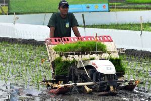 Transformasi Industri Pertanian: Modernisasi dan Keberlanjutannya