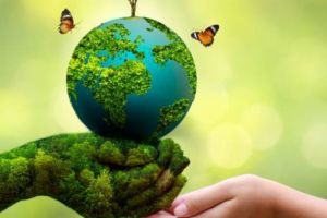 Perubahan Pola Konsumsi dan Dampaknya terhadap Lingkungan dan Masyarakat