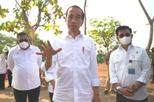 Jokowi: Ada Resiko 500 Juta Orang Akan Kelaparan di Seluruh Dunia