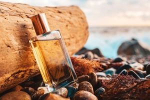 Pemilihan Parfum yang Tepat untuk Siang dan Malam Hari